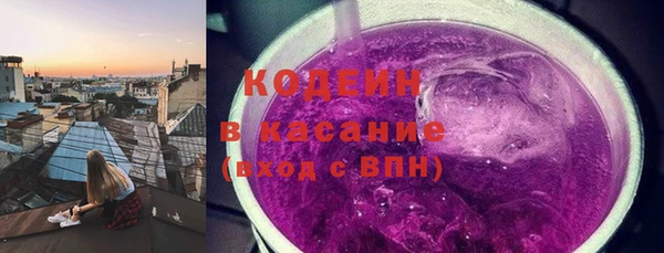 крисы Мегион