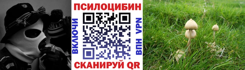 Галлюциногенные грибы GOLDEN TEACHER  Купить закладки  Асбест 